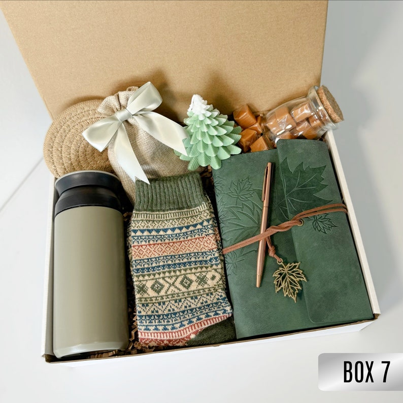 Sending a hug care package, Warm and fuzzy gift basket, Thinking of you care package for men, Male get well soon basket, Succulent gift box Box 7