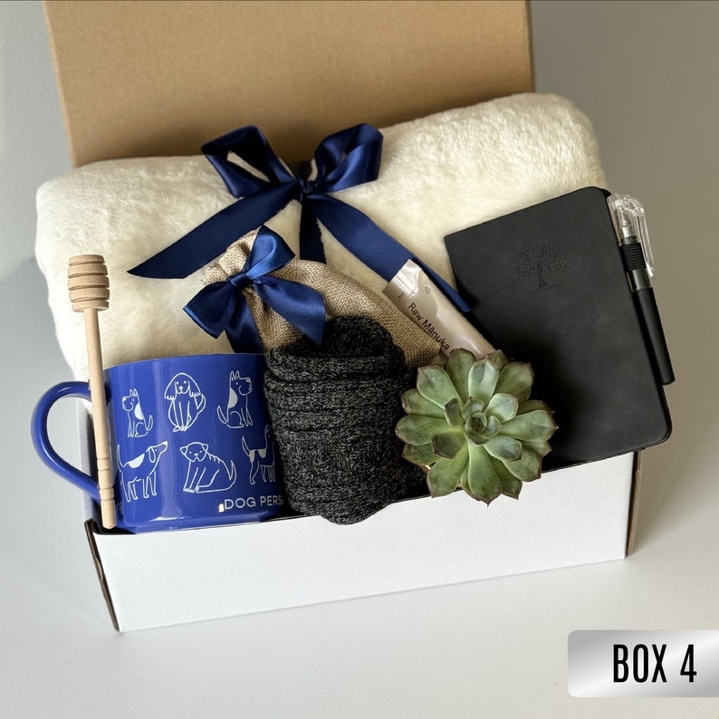 Sending a hug care package, Warm and fuzzy gift basket, Thinking of you care package for men, Male get well soon basket, Succulent gift box Box 4
