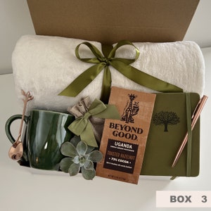 Sending a hug care package, Warm and fuzzy gift basket, Thinking of you care package for men, Male get well soon basket, Succulent gift box Box 3