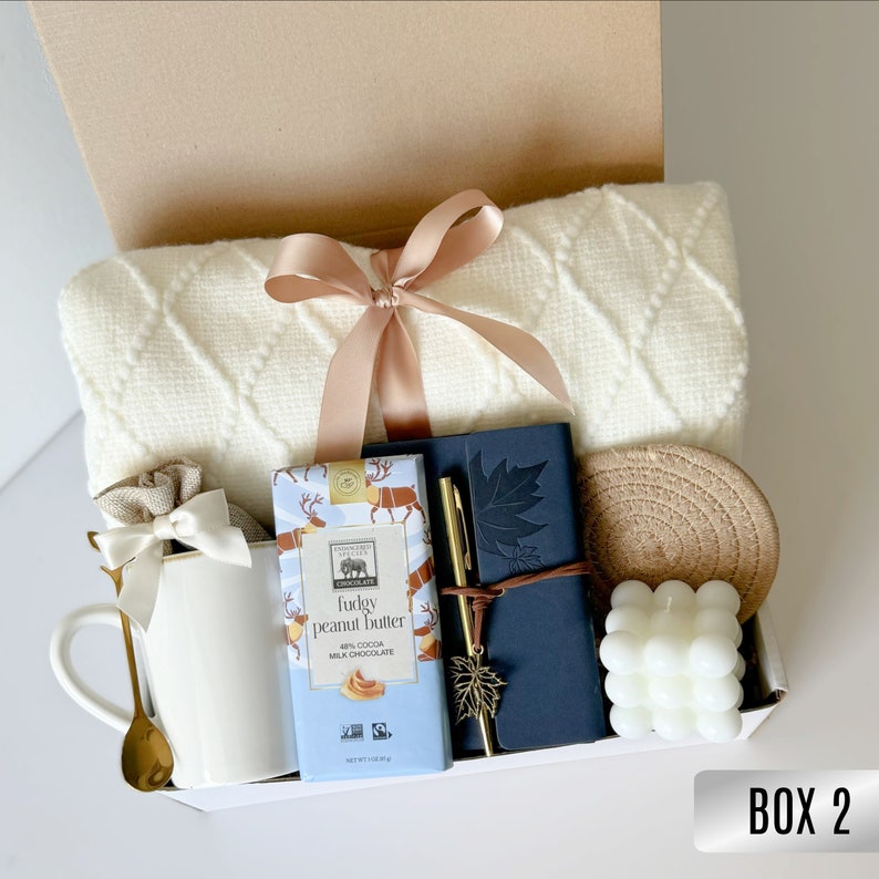 Sending a hug care package, Warm and fuzzy gift basket, Thinking of you care package for men, Male get well soon basket, Succulent gift box Box 2