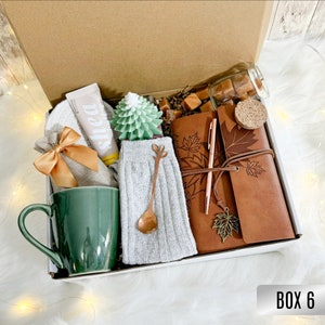 Sending a hug care package, Warm and fuzzy gift basket, Thinking of you care package for men, Male get well soon basket, Succulent gift box Box 6