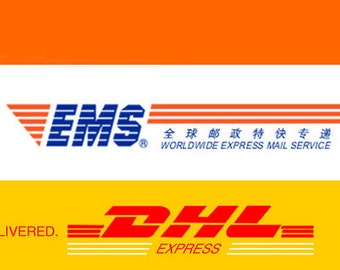 EMS or DHL express shipping for the first 0.5kg to some countries