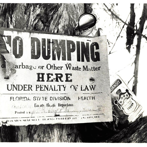 Vintage "No Dumping" sign, Humorous No Dumping sign, FL state park sign, Don't litter, Sign for living & family room. Pick up after yourself