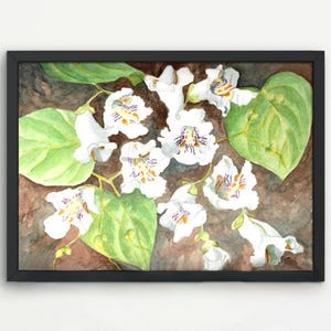 Catalpa flower art, Wildflower wall art, Catalpa flowers, Wildflower watercolor print, White, purple & yellow flower art print.
