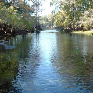 Southern river print wall art, River scene, Suwannee River photo, &quot;Way Down Upon the Suwannee River&quot;, A federally designated wild river.