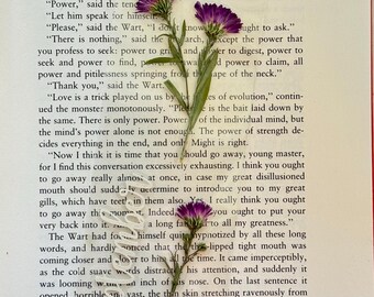 September Birth Flower Bookmark: Personalized Pressed Aster Bookmark