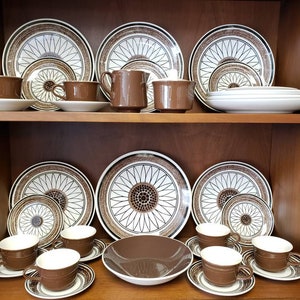 Royal China Casa Del Sol big dish set cavalier Ironstone 25 vintage brown floral dishes