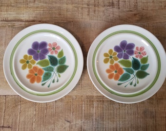 Franciscan Earthenware Floral Dinner Plate set of 2 abstract colorful floral plates