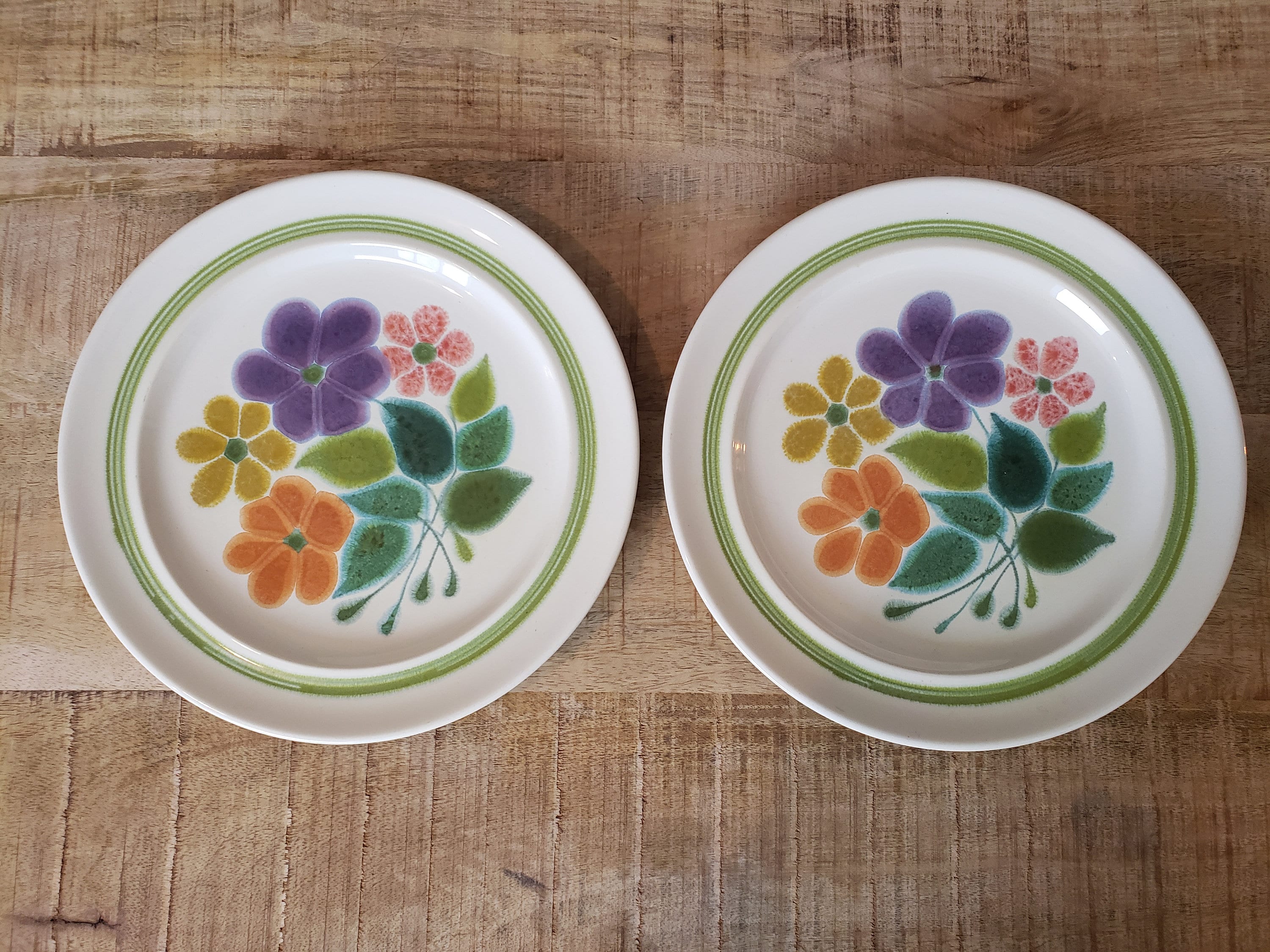 Franciscan Earthenware Floral Dinner Plate Set of Abstract