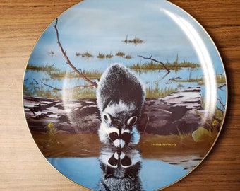 Collector plate racoon vintage  decor plate limited edition Desperado at the Waterhole.