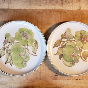 Denby Langley Troubadour Dinner plate set of 2 pink and green floral dishware