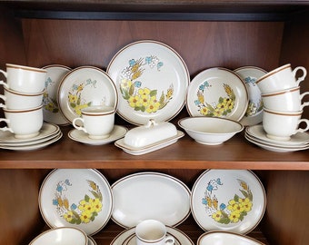 Hearthside Floral Expressions Springtime set of 39 stoneware vintage dishes with blue and yellow flowers