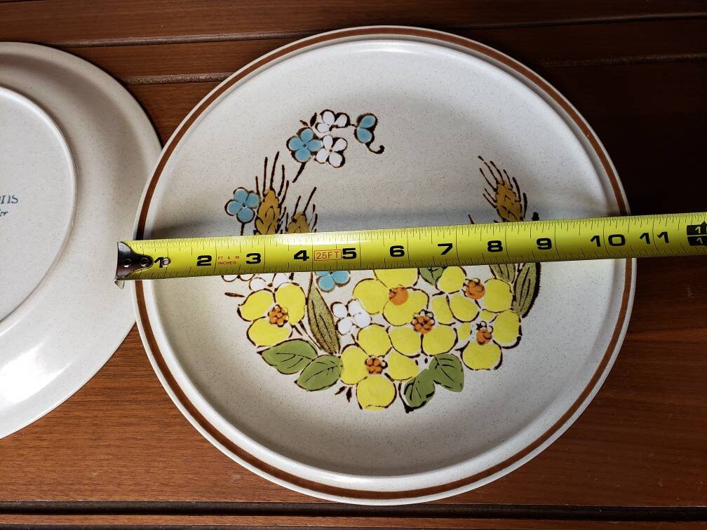 Hearthside Stoneware Floral Expressions Springtime Dinner Plate