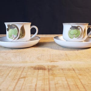 Denby Langley Troubadour cup and saucer set of 2 pink and green floral dishware