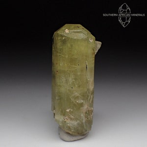 Gold Apatite Crystal, Morocco