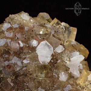 Puede incluir: Un grupo de cristales de fluorita amarillos con cristales de cuarzo transparentes. Los cristales de fluorita son translúcidos y tienen un brillo vítreo. Los cristales de cuarzo son transparentes y tienen una forma definida y afilada.