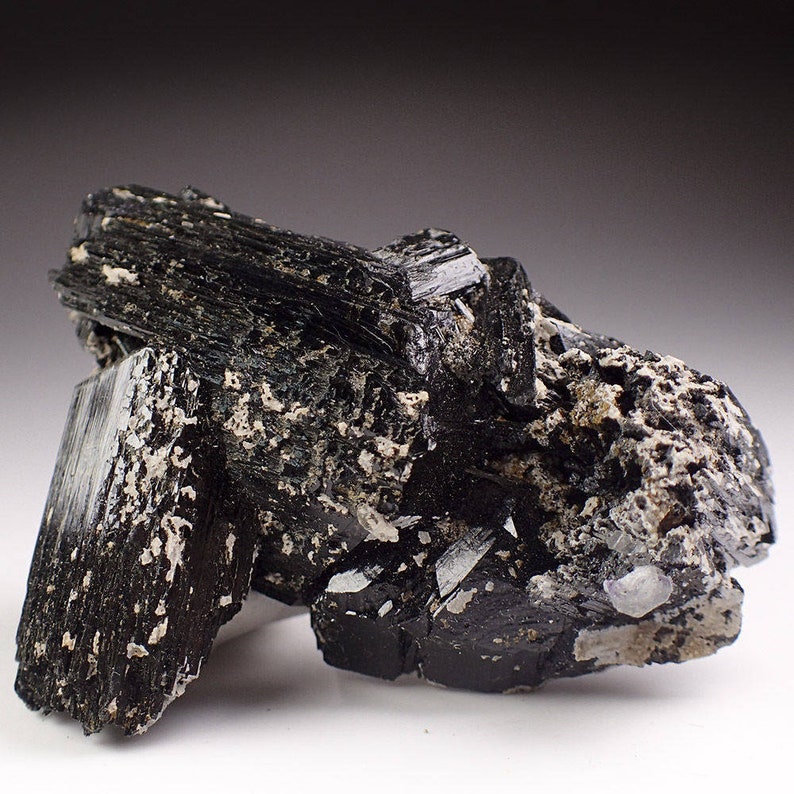 May include: A cluster of black schorl tourmaline crystals on a matrix of gray rock. The crystals are sharp and well-formed, with a glossy luster.