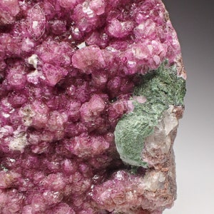 Large Cobaltoan Calcite/Cobaltoan Dolomite on Matrix Crystal Specimen, DRC
