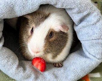 Fleece Snuggle Sack for Guinea Pigs & Small Pets