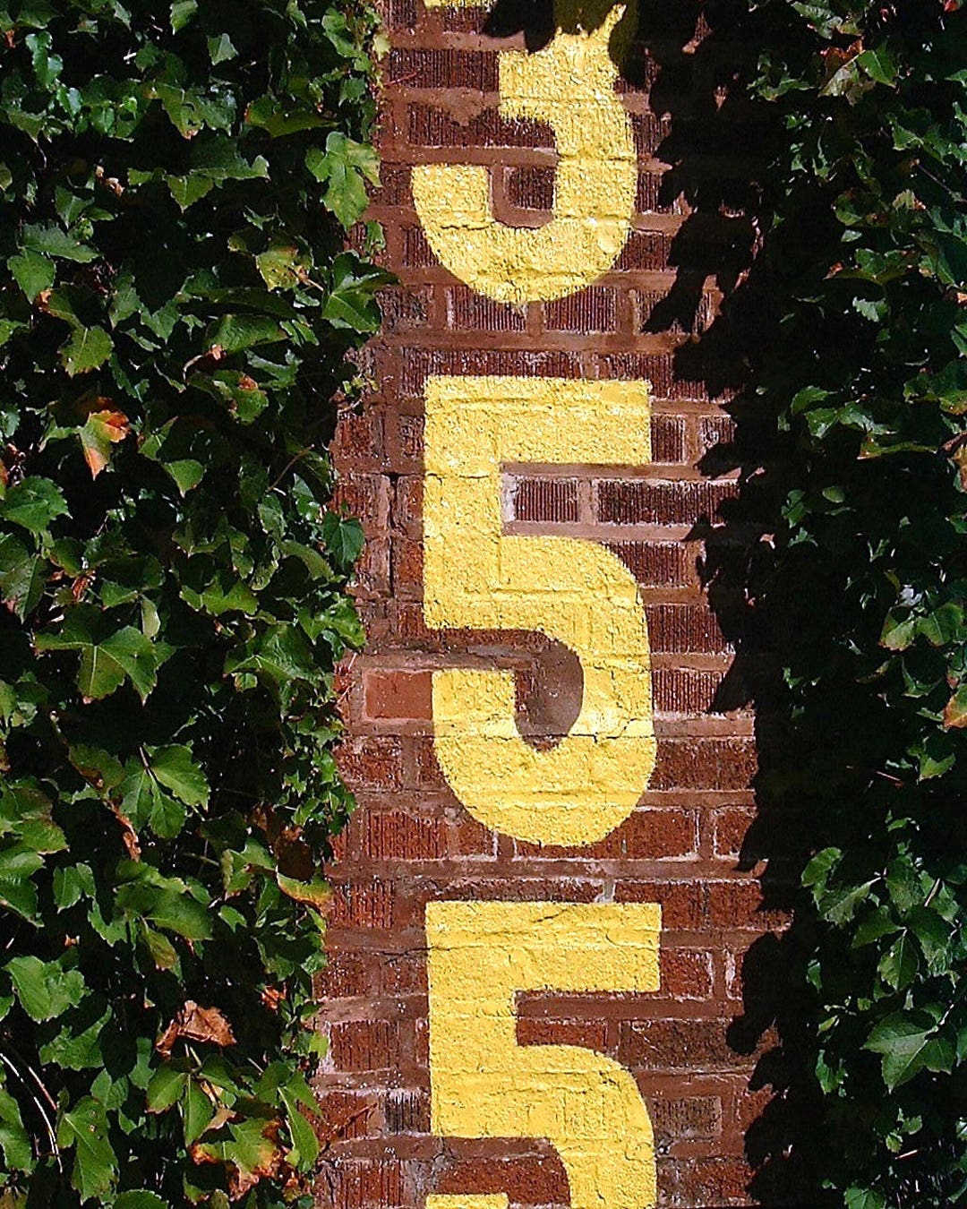 Wrigley Field Ivy Store Cubs Chicago Cubs Wrigley Field Replica