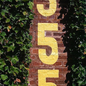 Photograph of Wrigley Field - Chicago Cubs, ivy, 355, wall art print, Chicago urban photography, abstract