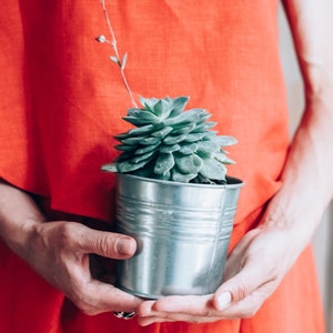Peut inclure: Une personne tenant une petite plante succulente dans un pot argent&eacute;. La plante est verte et a une forme de rosette. La personne porte une robe rouge.