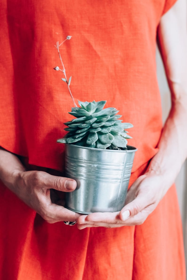 Peut inclure: Une personne tenant une petite plante succulente dans un pot argent&eacute;. La plante est verte et a une forme de rosette. La personne porte une robe rouge.