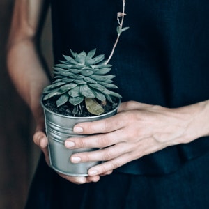 May include: A person holding a small potted succulent plant with a single stem extending upwards. The plant is in a silver metal pot and the person is wearing a dark blue shirt.