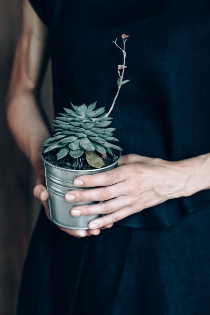 May include: A person holding a small potted succulent plant with a single stem extending upwards. The plant is in a silver metal pot and the person is wearing a dark blue shirt.