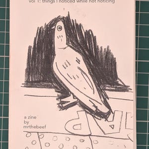 May include: A zine titled "between here and there" with a pencil sketch of a bird. The cover includes the text "vol 1: things I noticed while not noticing", "a zine by mrthebeef", and a series of small circles.