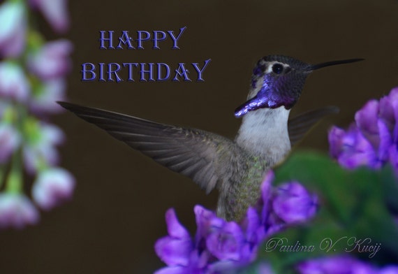 Carte De Voeux De Joyeux Anniversaire Colibri De Costa Etsy