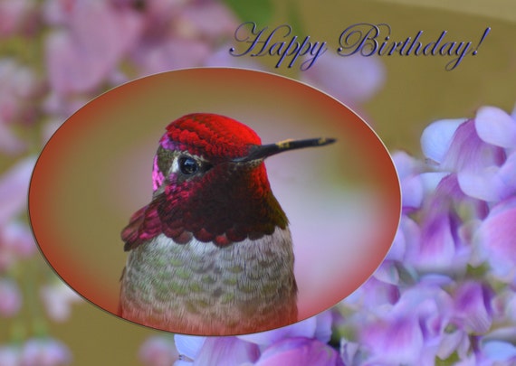Carte De Voeux De Joyeux Anniversaire Colibri D Anna Etsy