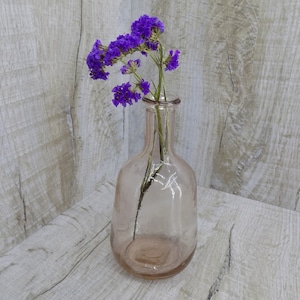 Bouteille en verre vintage Décanter médicale décantière verre collectible Décantting Rustic Old Bottle Blue Glass Blue Stopper Carafe Retro