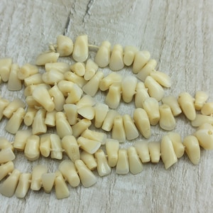 Imitazione denti umani reali Dentiera vintage Denti falsi Collana denti Incisivi Molari Premolare Odontoiatria dei denti anteriori umani Protesi