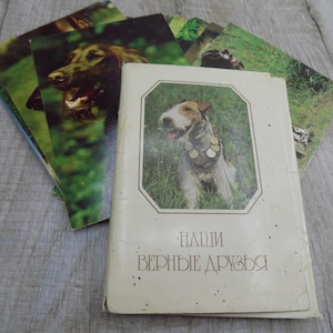 Vintage Hundekarten Postkarten Hundeset Seltene Hunderassen Dobermann Rottweiler Pekinese Spaniel Dachshund Liebeshunde Geschenk Retro Fotos Unikat