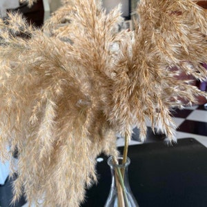 Pink pampas grass Dried flower bouquet Tall centerpieces Wedding arch flower composition Pampas grass decor Everlasting flowers centerpieces Natural