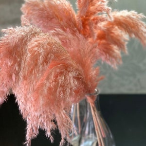 Pink pampas grass Dried flower bouquet Tall centerpieces Wedding arch flower composition Pampas grass decor Everlasting flowers centerpieces image 1