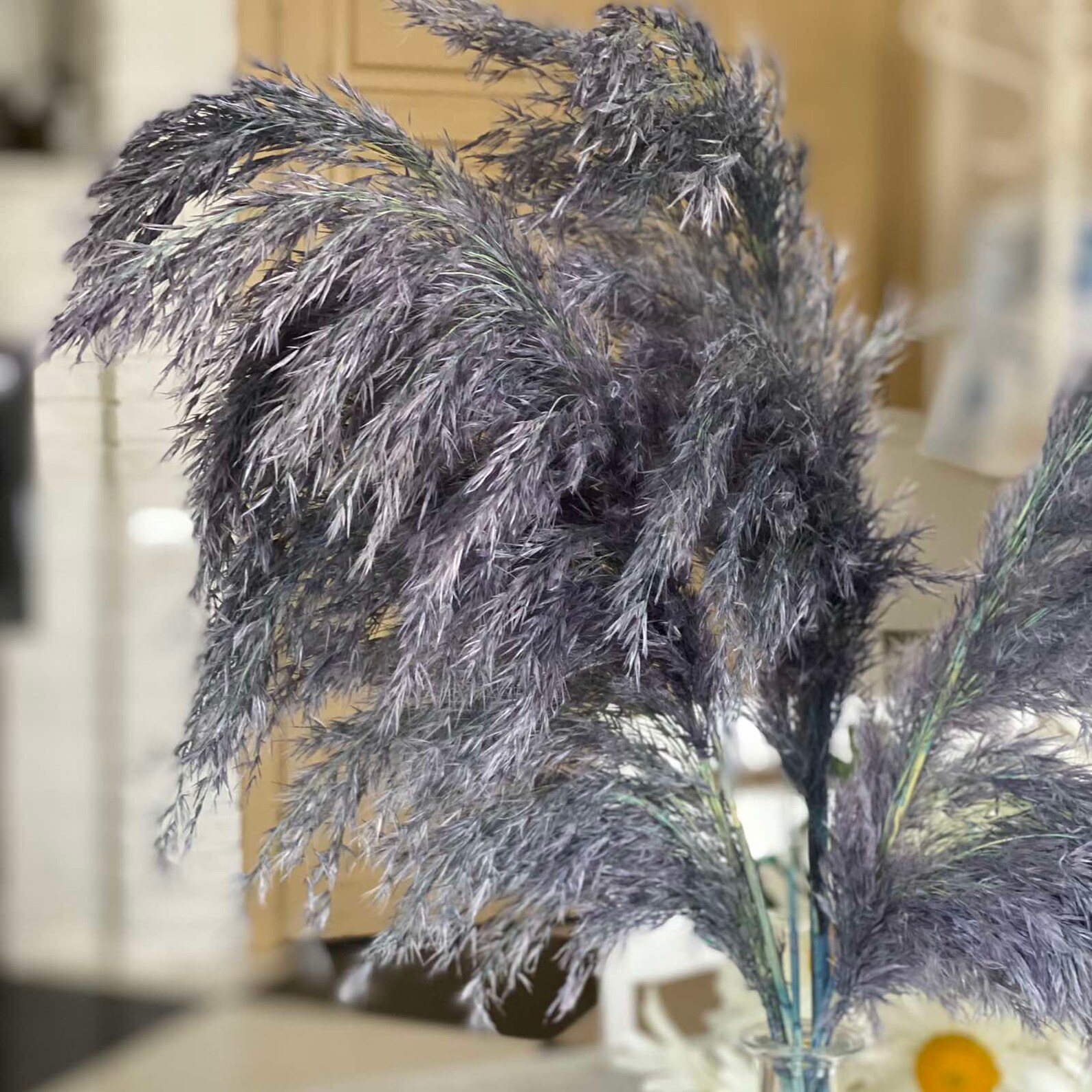 Dried pampas grass decor Navy blue color Trockenblumen Etsy