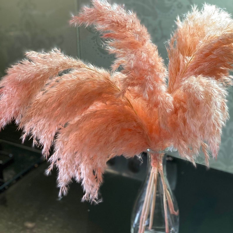 Pink pampas grass Dried flower bouquet Tall centerpieces Wedding arch flower composition Pampas grass decor Everlasting flowers centerpieces image 2