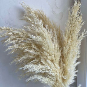 Pink pampas grass Dried flower bouquet Tall centerpieces Wedding arch flower composition Pampas grass decor Everlasting flowers centerpieces White