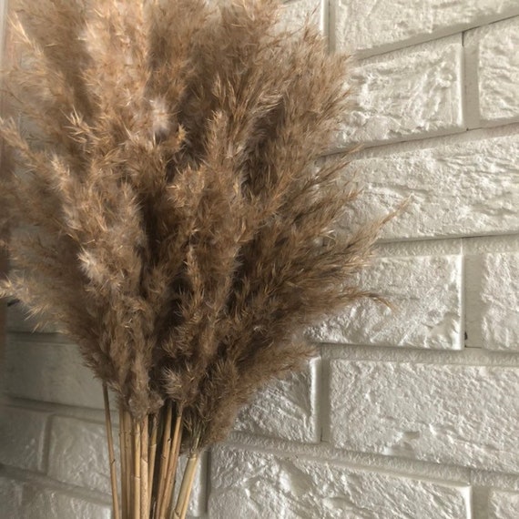Herbe De Pampa Séchés Bouquet De Fleurs Séchées Décoration De Mariage Mariage Haut Centres Herbe De Pampa Centres De Fleur Mariage Fleur Arch
