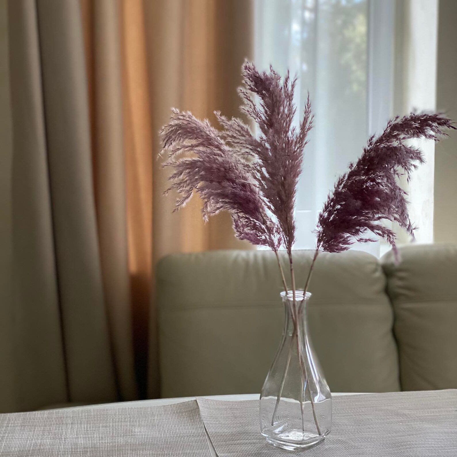 Pampas grass decor Feather reed grass Dried flower bouquet Etsy