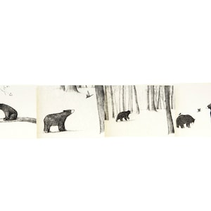 Conjunto de quatro cartas ilustradas - cartas de urso