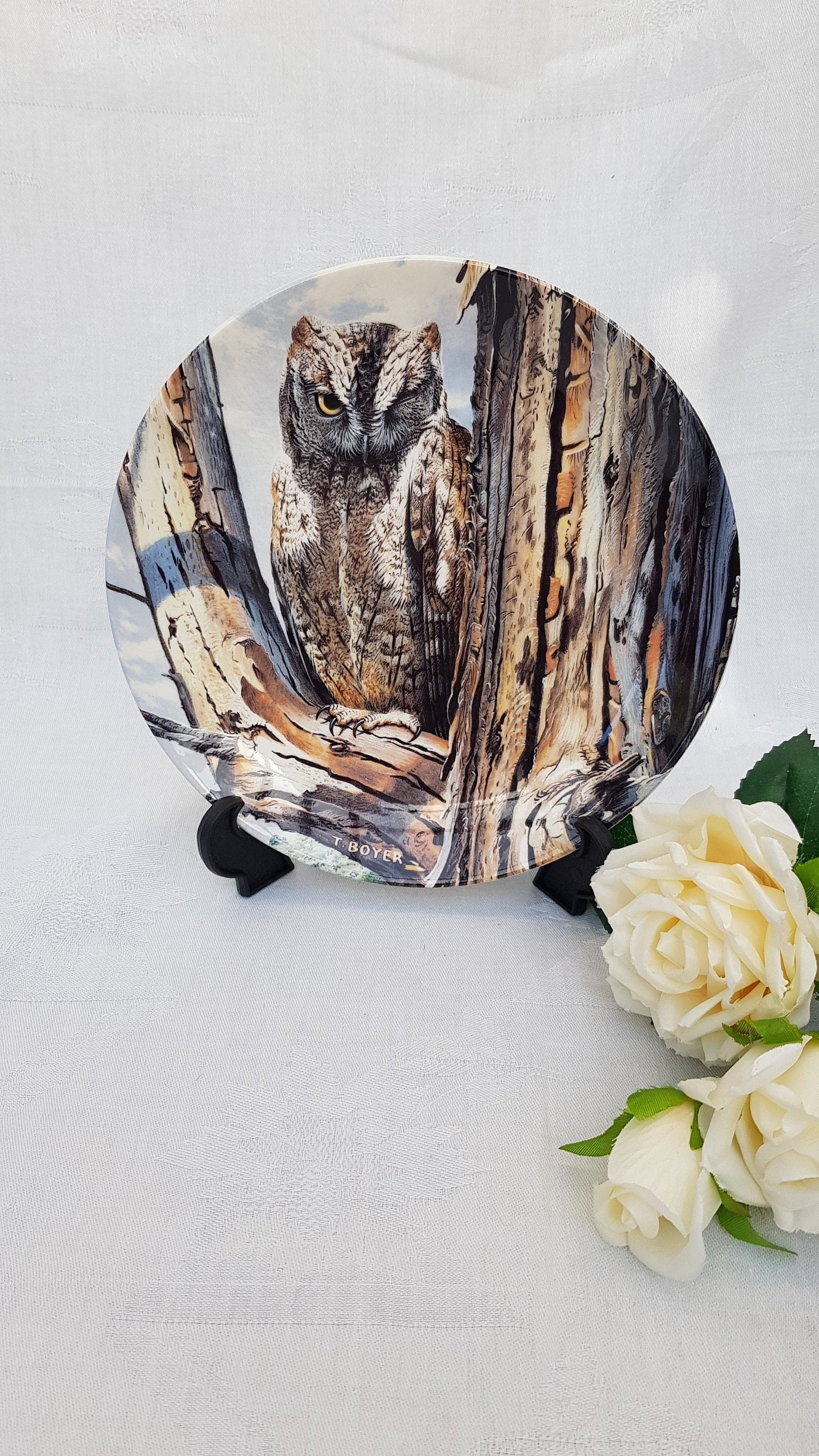MAJESTY OF OWLS Danbury Mint/Wedgwood Collectors Plates CHOOSE NESTLING OWLETS 