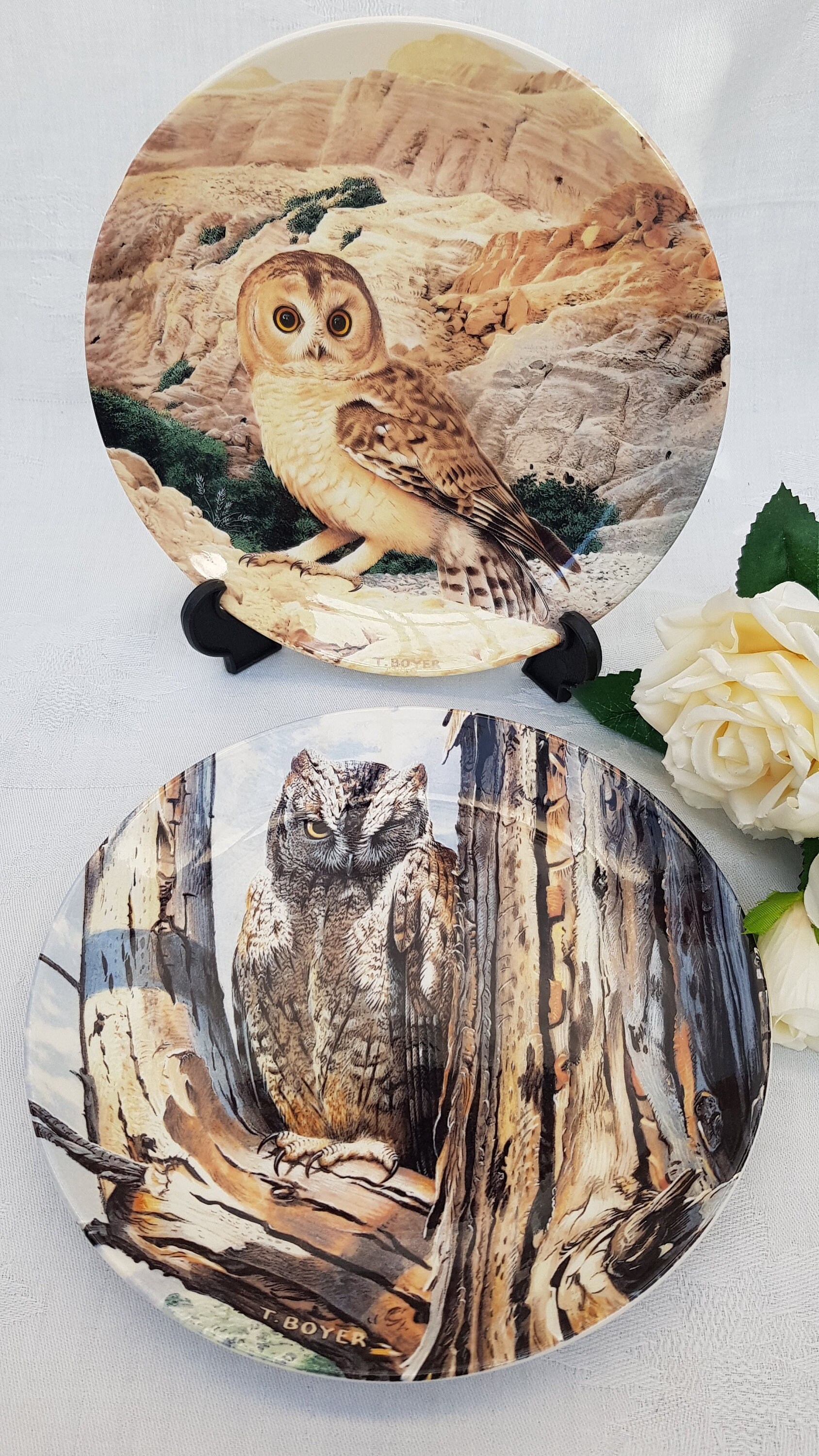 THE MAJESTY OF OWLS BIRD COLLECTORS PLATES WEDGWOOD SELECT PLATE 