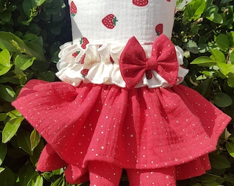 Small Dog clothing, Strawberry Dress, Harness dress, Small dogs only