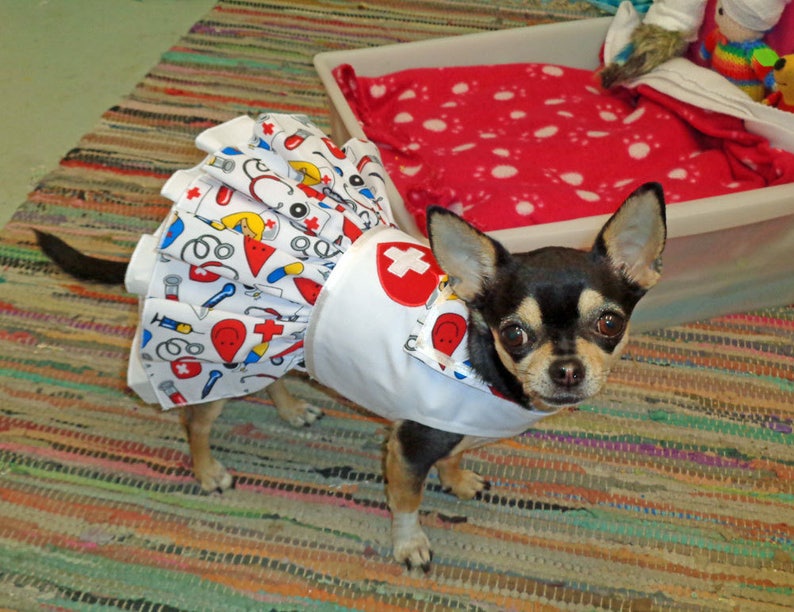Small Dog clothing Nurse costume Doctor dress Chihuahua Etsy