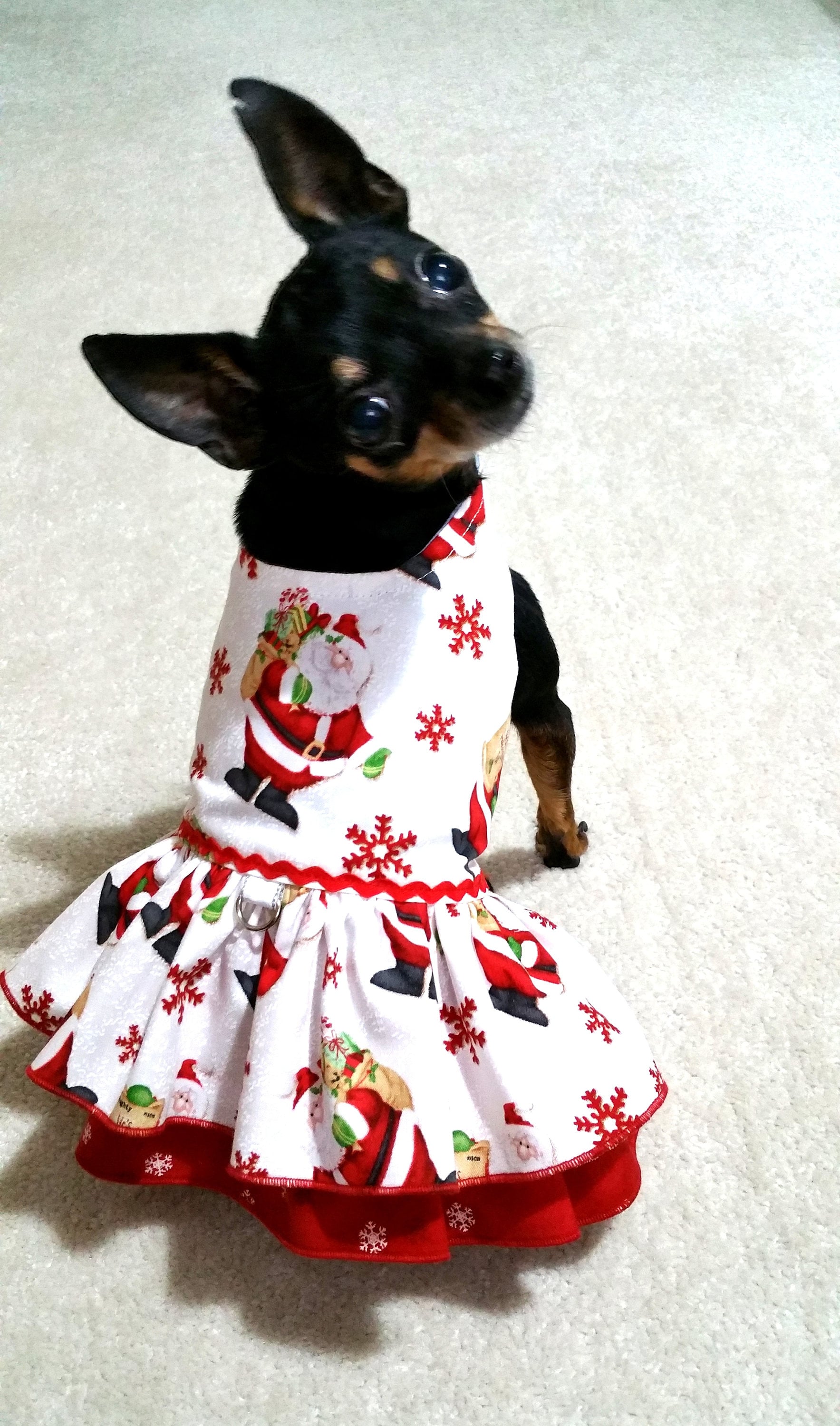 christmas clothes for small dogs