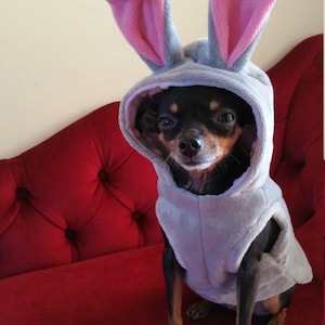 May include: A small black and brown dog wearing a gray bunny costume with pink ears. The dog is sitting on a red couch.