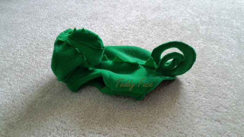 May include: A bright green, handmade chameleon hat made of soft fabric. The hat features a curled tail and a spiky head crest. The text "Teddy Face" is printed in gold on the hat.